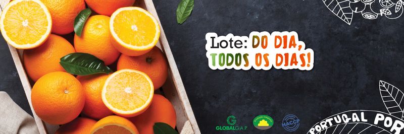 Frutas Tereso - Comércio de Frutos & Hortícolas Lda. - supplier and manufacturer from 포르투갈