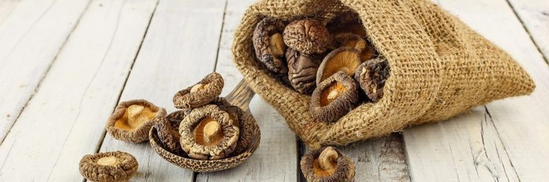 Mushroom House Inc. - supplier and manufacturer from 미국