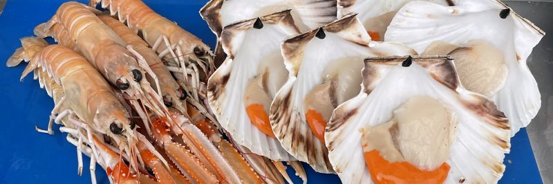 Scotprime Seafoods Ltd - supplier and manufacturer from 영국