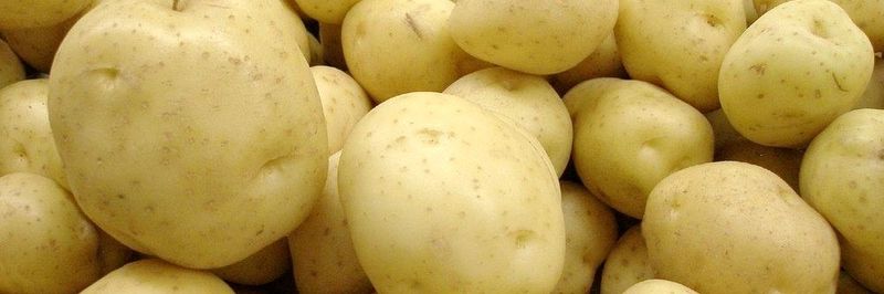 Societe Agro Export Sahel-SAGES - supplier and manufacturer from 튀니지
