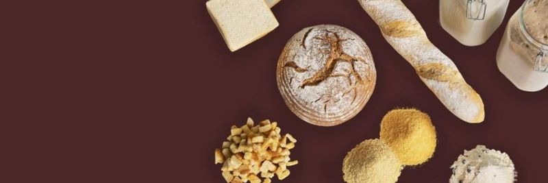 Tiba Starch & Glucose Manufacturing - supplier and manufacturer from 이집트