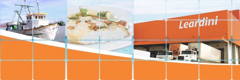 Leardini Pescados Ltda. - supplier and manufacturer from 브라질