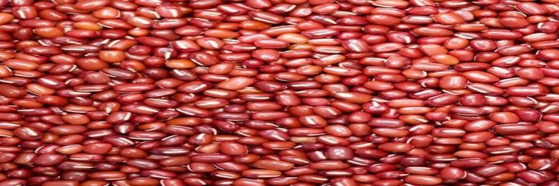 Tabu Food - supplier and manufacturer from South Africa