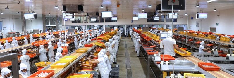 Eurofish S.A. - supplier and manufacturer from 에콰도르