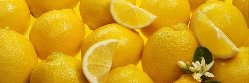 Nielsen Citrus Products Company, Inc. - supplier and manufacturer from 미국
