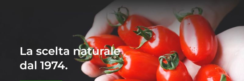 Felice Conserve Srl - supplier and manufacturer from 이탈리아