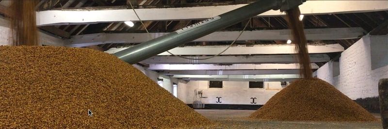 Warminster Maltings Limited - supplier and manufacturer from United Kingdom