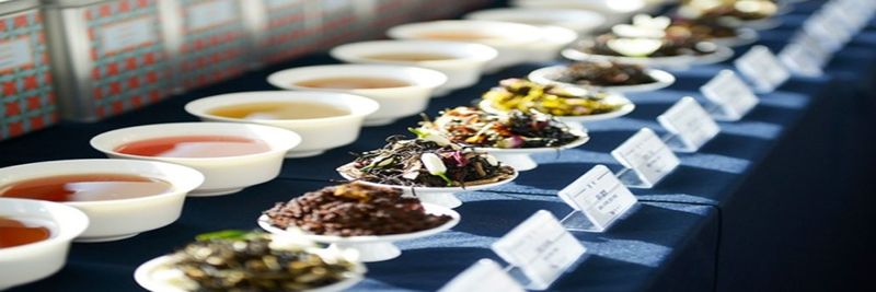 Doctor Mothers Tea Corp. - supplier and manufacturer from 대한민국