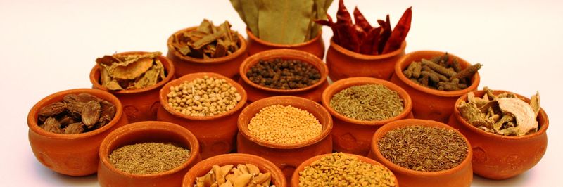 Spicy Home Spices - supplier and manufacturer from 네팔