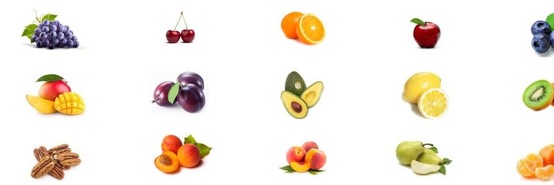 Agrovista International LLC - supplier and manufacturer from United States