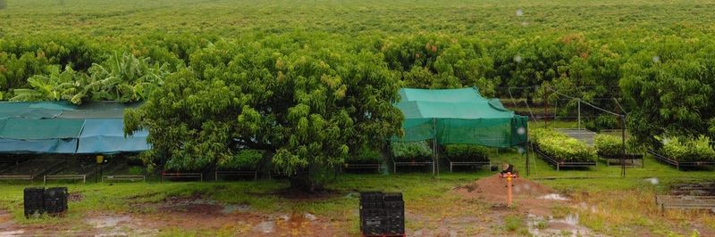 Tou's Garden Pty Ltd - supplier and manufacturer from 호주