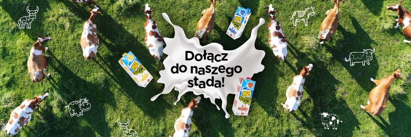 OKREGOWA SPÓLDZIELNIA MLECZARSKA WART-MILK (WART-MILK) - supplier and manufacturer from 폴란드