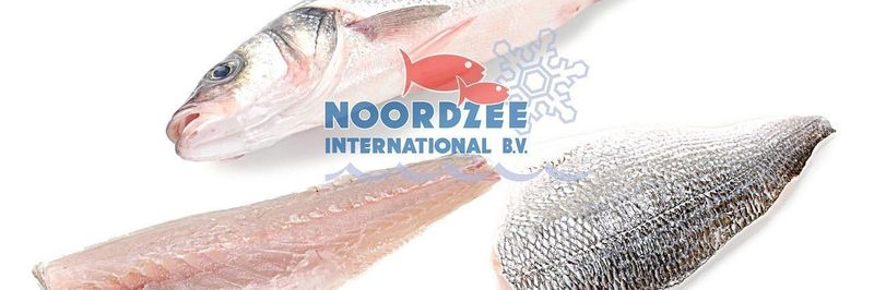 Noordzee International BV - supplier and manufacturer from 네덜란드