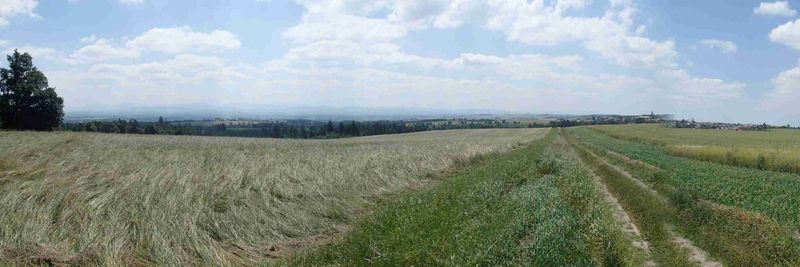 ZOD Tisek - supplier and manufacturer from Czechia