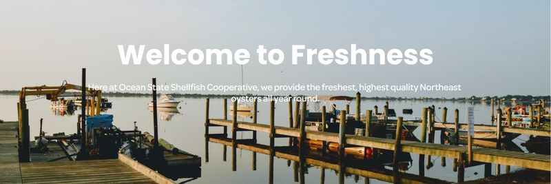 The Ocean State Shellfish Cooperative - supplier and manufacturer from 미국