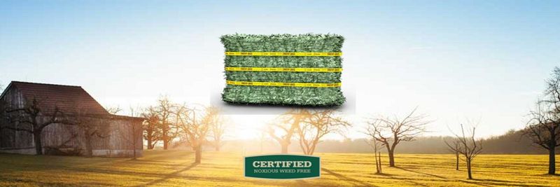 Hulmac Trading - supplier and manufacturer from 남아프리카공화국