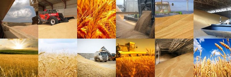 AGROPLANET LLP - supplier and manufacturer from 카자흐스탄