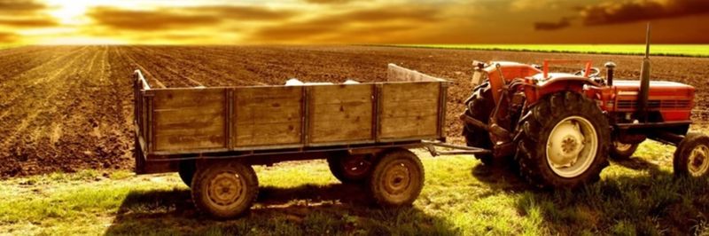 KENZA FRUITS - supplier and manufacturer from 튀니지