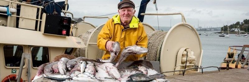 The Good Fish Company - supplier and manufacturer from Ireland