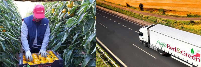 Agro Red & Green S.L. - supplier and manufacturer from Spain