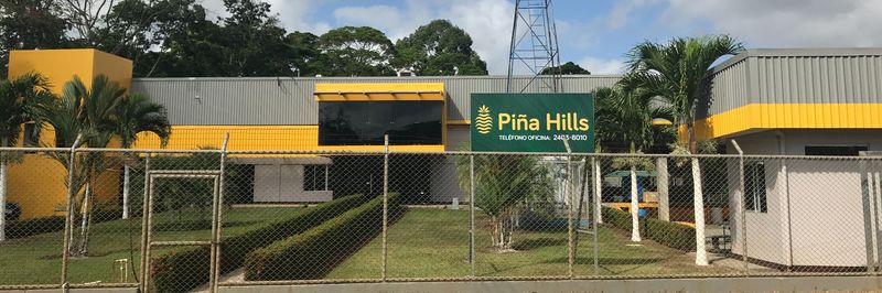 Piña Hills - supplier and manufacturer from 코스타리카