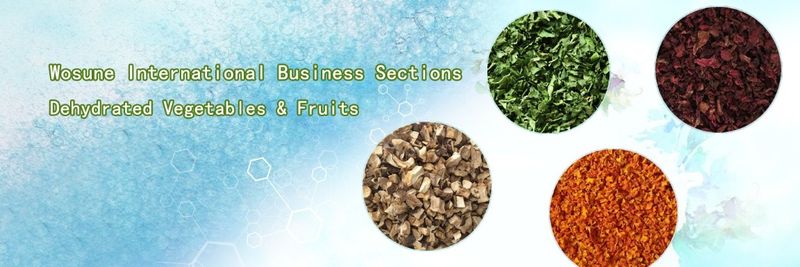 Wosune International Inc. - supplier and manufacturer from 미국