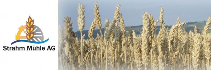 Strahm Mill AG - supplier and manufacturer from 스위스