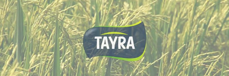 Tayra LLC - supplier and manufacturer from 러시아