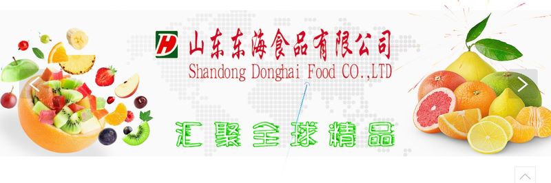 Shandong Donghai Food Co., Ltd. - supplier and manufacturer from China