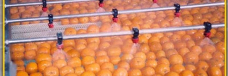Supreme Kinno Factory - supplier and manufacturer from 파키스탄