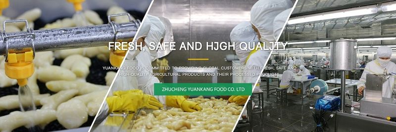 Zhucheng Yuankang Food Co., Ltd. - supplier and manufacturer from 중국