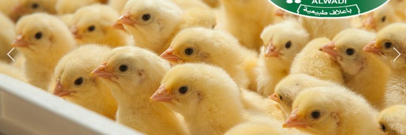 Alwadi Poultry Farms Ltd, Co. - supplier and manufacturer from Saudi Arabia