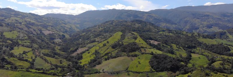 Doña Panela Ltda - supplier and manufacturer from Colombia