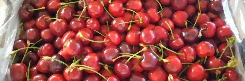 Efresh Pty Ltd - supplier and manufacturer from 호주