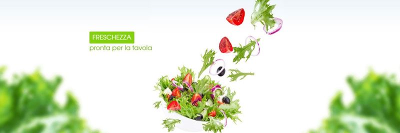 Facchini S.R.L. - supplier and manufacturer from 이탈리아