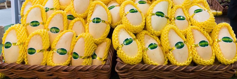 Tropical Green - supplier and manufacturer from 태국