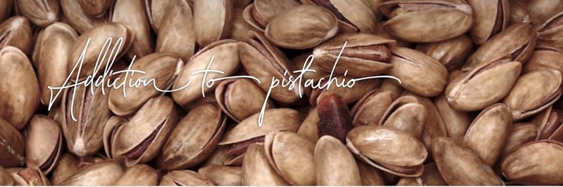 Demkar Nuts - supplier and manufacturer from 튀르키예