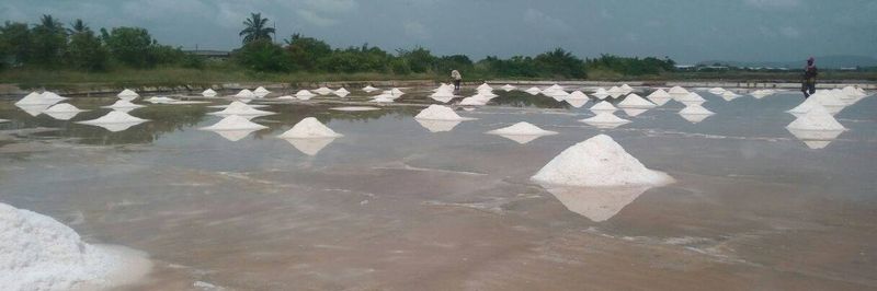 Crown Sea Salt Limited - supplier and manufacturer from 가나