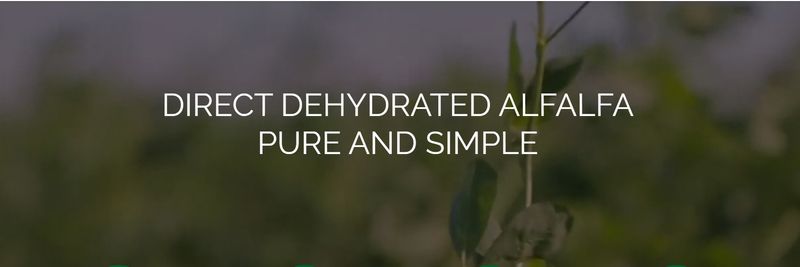Alfagreen Supreme - supplier and manufacturer from United States