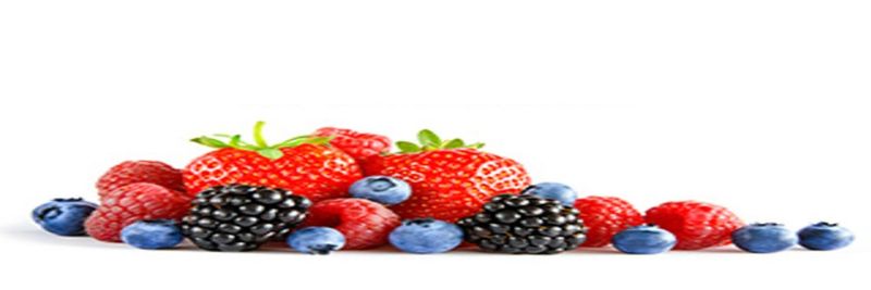 Wholesale Produce Supply LLC - supplier and manufacturer from 미국