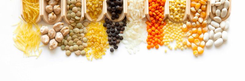 FOODISH S.R.O. - supplier and manufacturer from 체코