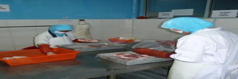 CV. Angin Timur Seafoods - supplier and manufacturer from Indonesia