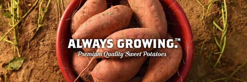 Farm Fresh Produce - supplier and manufacturer from 미국