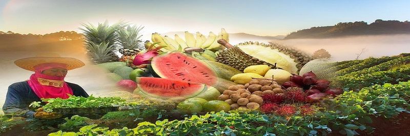 Golden Farm Siam - supplier and manufacturer from 태국