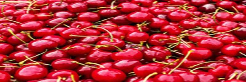 Stefan Gamb Farm - supplier and manufacturer from 독일