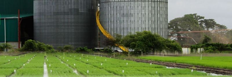 Latif Rice Mills - supplier and manufacturer from 파키스탄