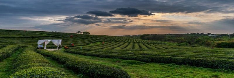 Planet Green Holdings Corp. - supplier and manufacturer from United States