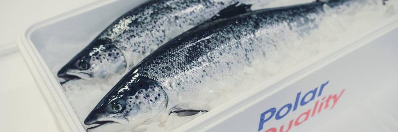 Polar Quality - supplier and manufacturer from 노르웨이