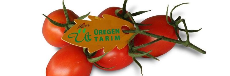 Uregen Tarim - supplier and manufacturer from 튀르키예