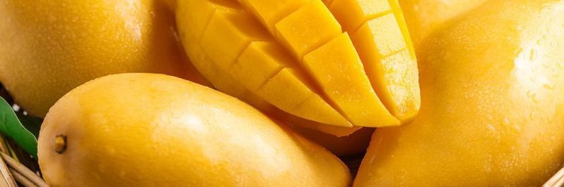 EVER FRESH EXPORTERS - supplier and manufacturer from 파키스탄